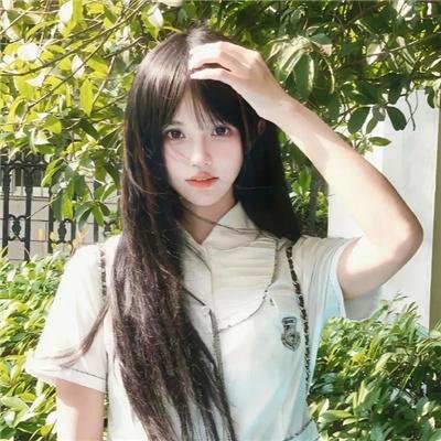 狮子护卫队第一季